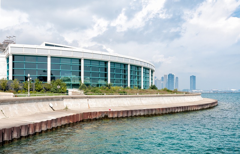 Hotels in Chicago Illinois - Shedd Aquarium
