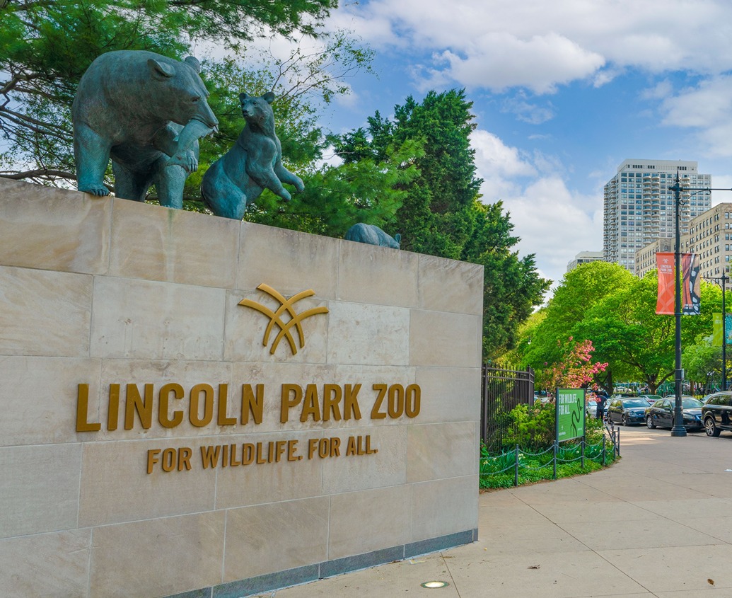 Hotels in Chicago Illinois - Lincoln Park Zoo